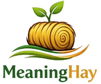 MeaningHay.Com
